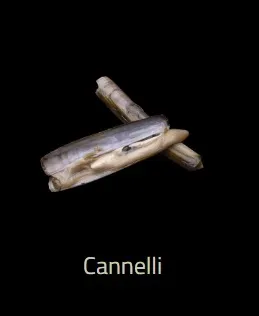 Cannelli
