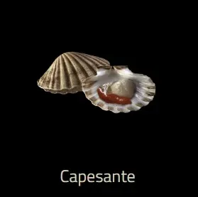 Capesante