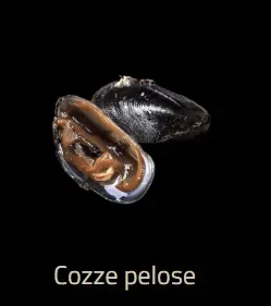 Cozze Pelose