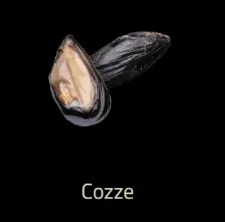 Cozze