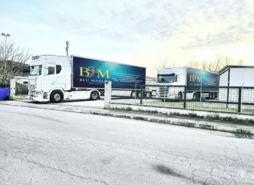 Logistica e Trasporto Refrigerato